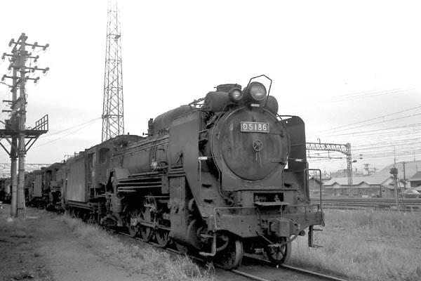 D5186