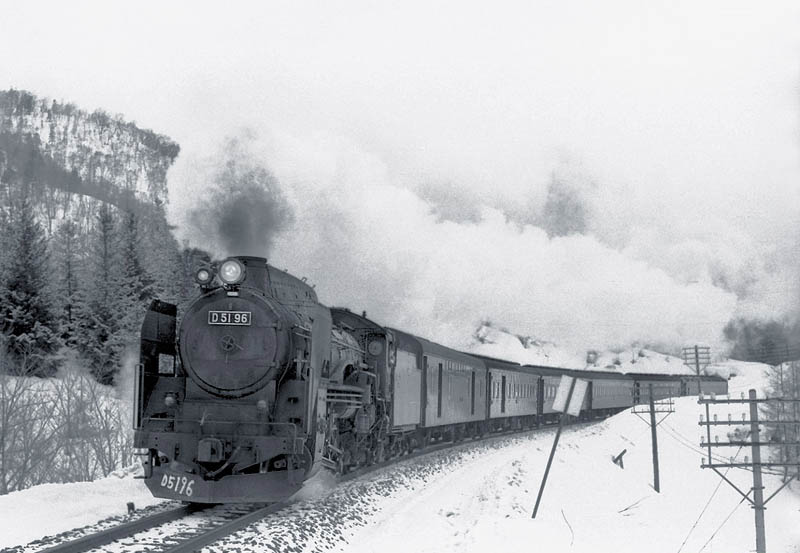 D5196