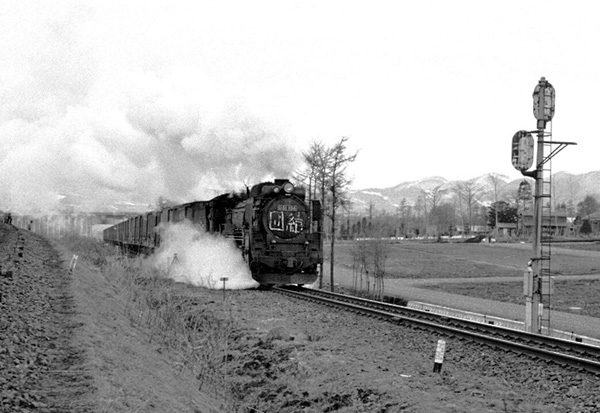 D51104