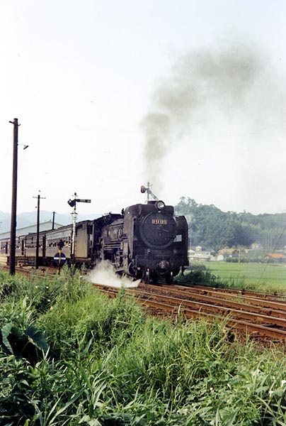 D51125