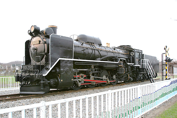 D51333