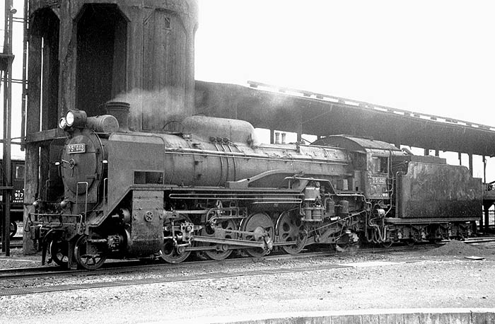 D51443