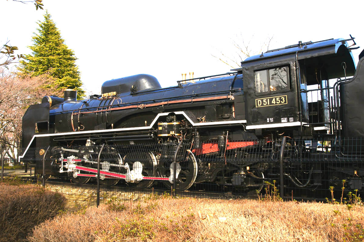 D51453