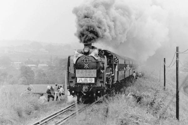 D51515