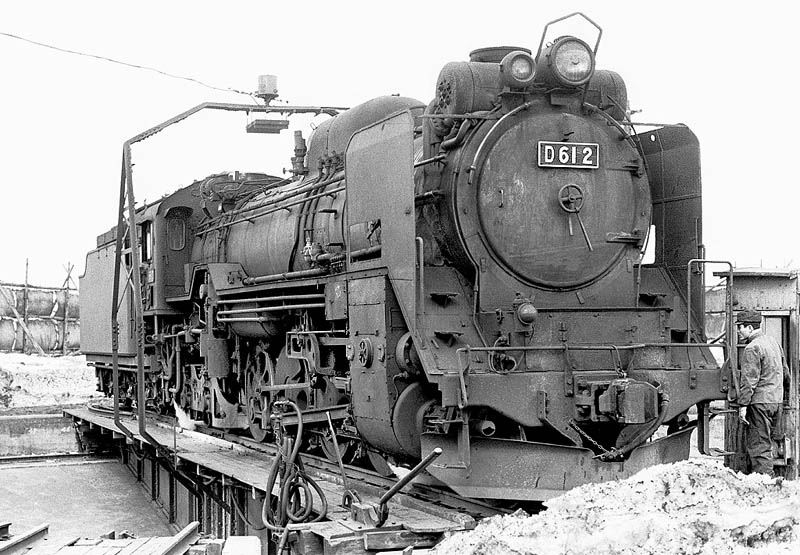 D51555