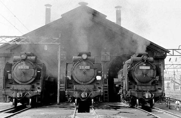 D51775