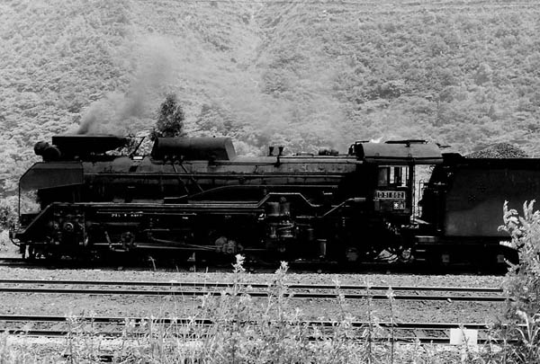 D51852
