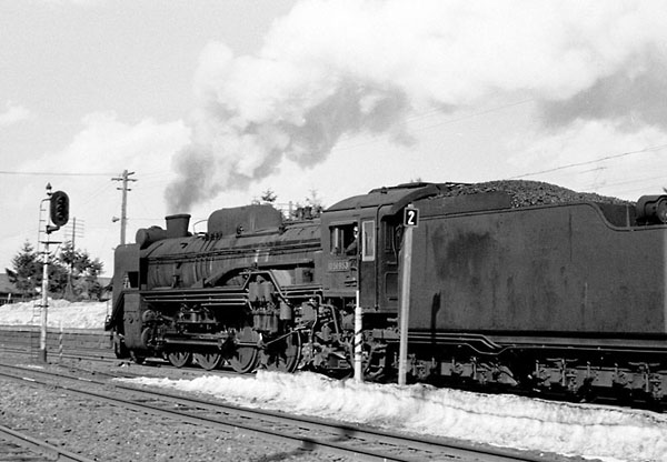 D51953