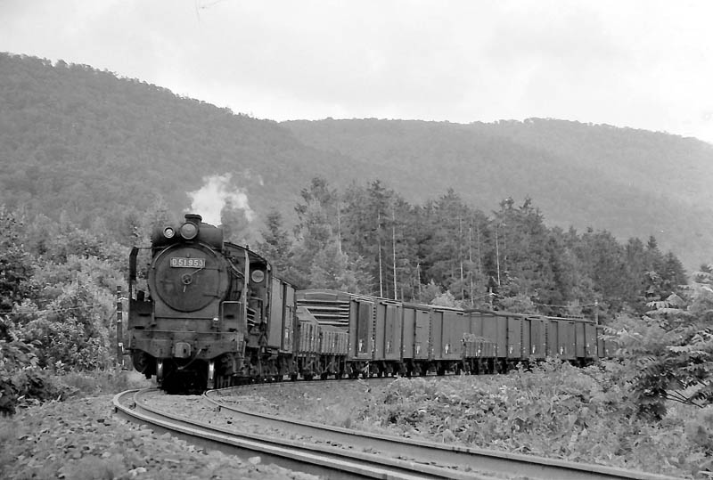 D51953
