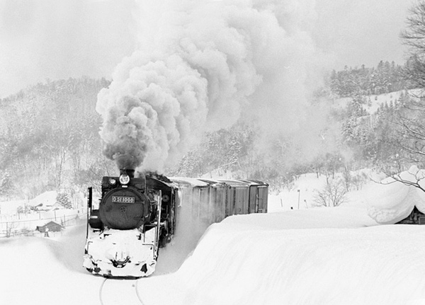 D511008
