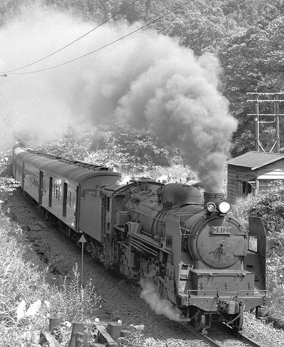 D511094