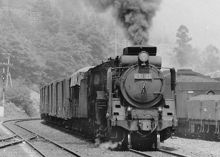 D51125