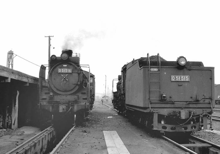 D51515