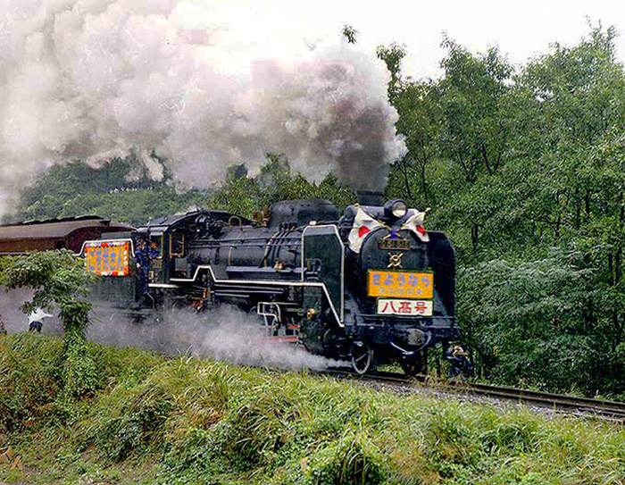 D51515