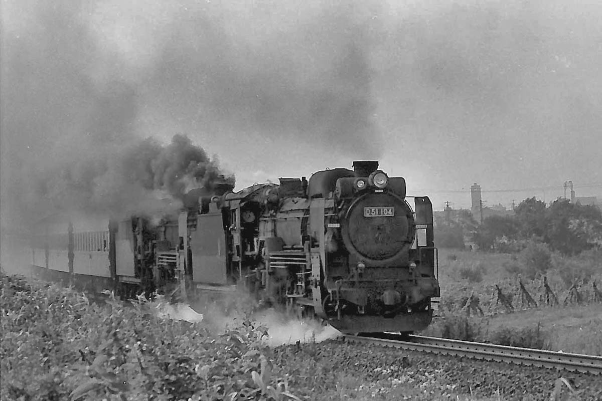 D51104