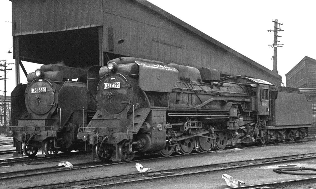 D51499