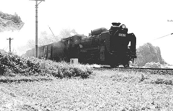 D51104