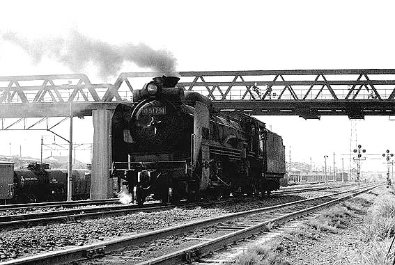 D51791