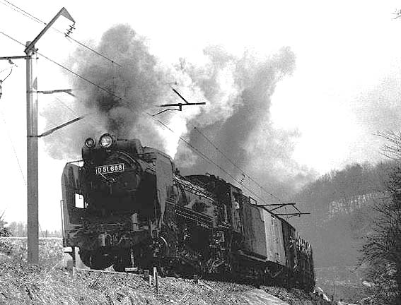 D51688