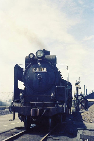 D51146