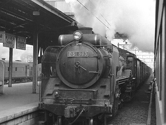 D51893