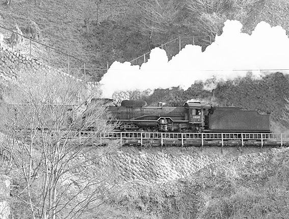 D51401
