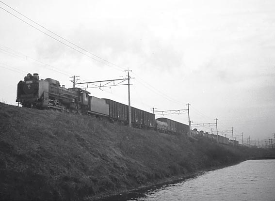 D51791