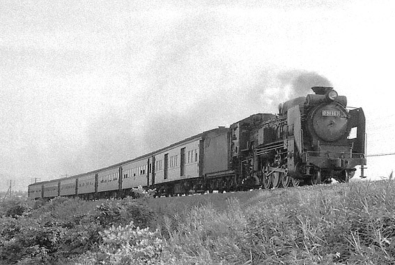 D51167
