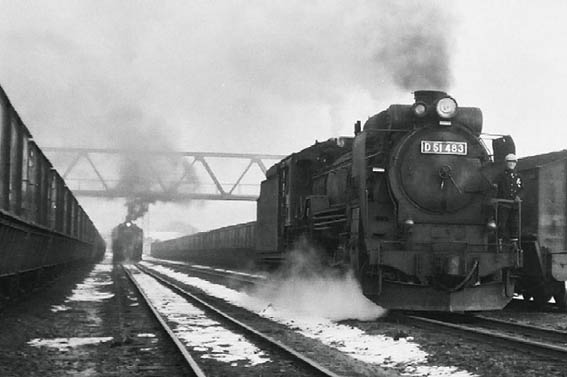 D51483