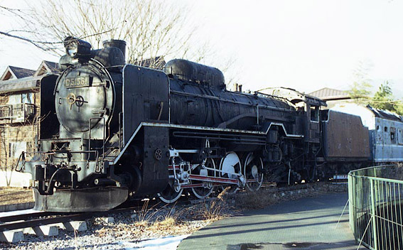D51561