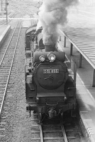 D51855