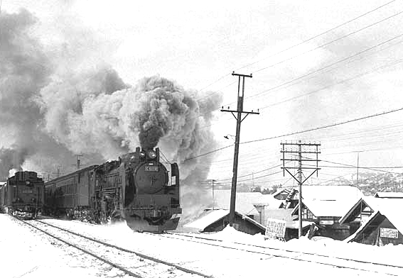 D51874