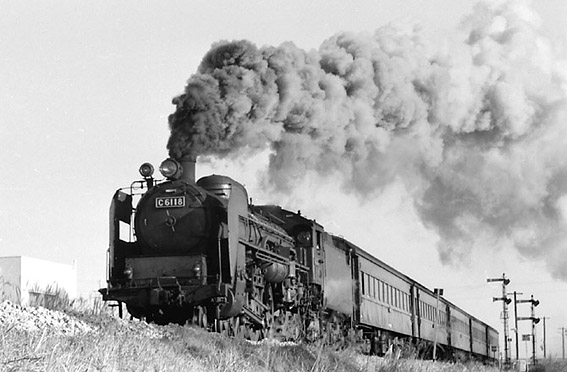 D51874