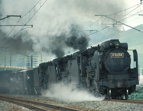 D51134