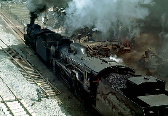 D51231