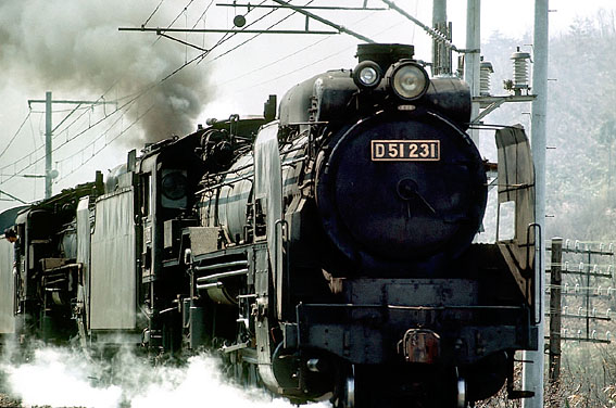 D51231