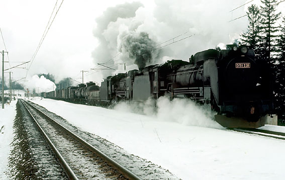 D51231