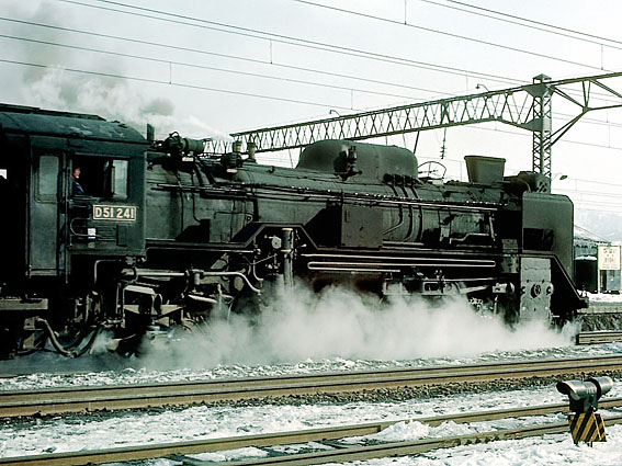 D51241