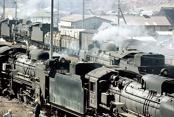D51246