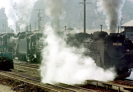 D51246