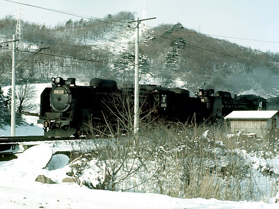 D51246