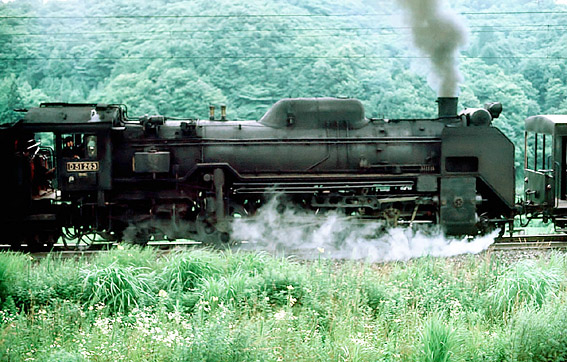 D51263