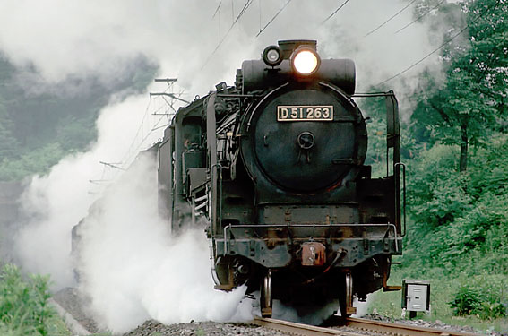 D51263