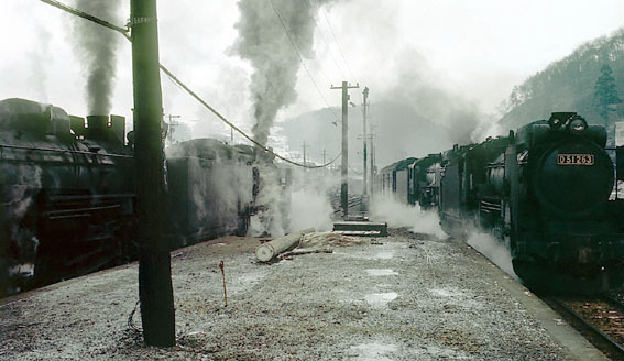 D51263