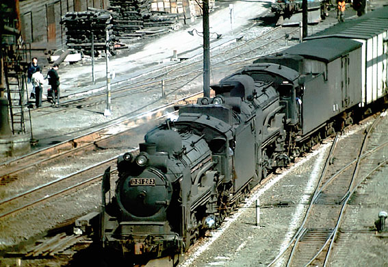 D51263