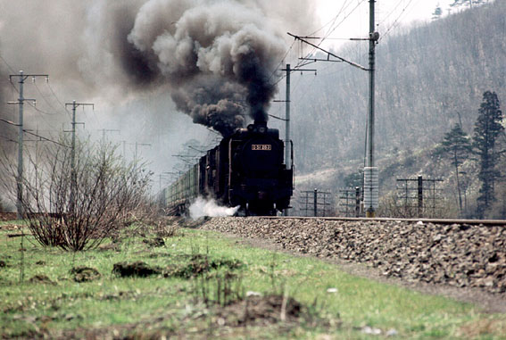 D51263