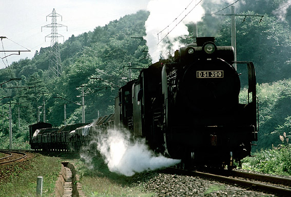 D51390