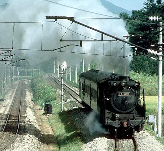 D51390