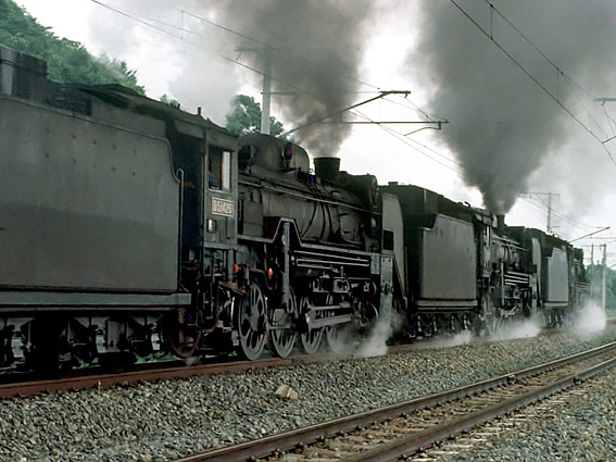 D51426