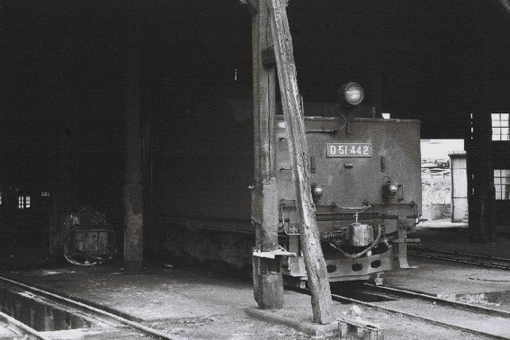 D51442